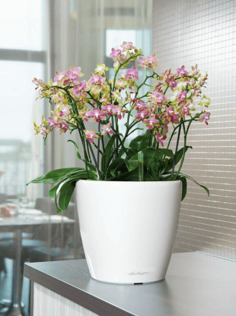 Ghiveci LECHUZA Premium Classico Alb 35 x 33 [2]