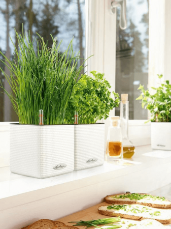 Ghiveci LECHUZA Cube Color Alb 17 x 17 x 16 [2]