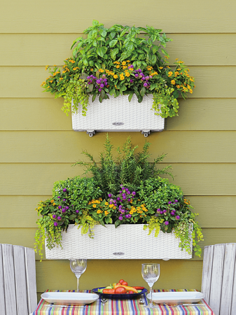 Ghiveci LECHUZA Balconera Cottage Alb 80 x 19 / 19 [2]