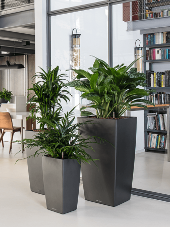 Ghiveci LECHUZA Premium Cubico Antracit 40 x 40 x 75 [3]