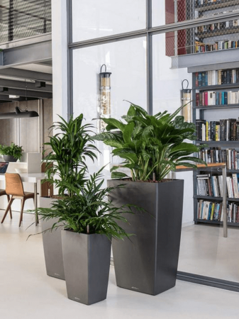 Ghiveci LECHUZA Cubico Antracit 40 x 40 / 75 [2]