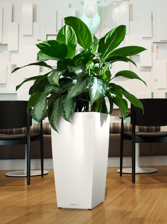 Ghiveci LECHUZA Cubico Alb 40 x 40 x 75 [1]