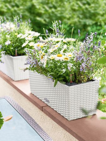 Ghiveci LECHUZA Balconera Cottage Alb 50 x 19 / 19 [2]