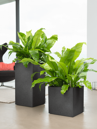 Ghiveci LECHUZA Balconera Stone Sand Graphite Black 30 x 30 x 56 [4]