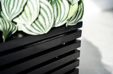 Ghiveci MARRONE Cube 30 [1]