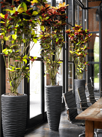 Ghiveci POLYSTONE SEASIDE smoke (cu liner) 30 x 70 [1]