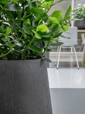 Ghiveci RAINDROP antracit 55 x 55 [2]