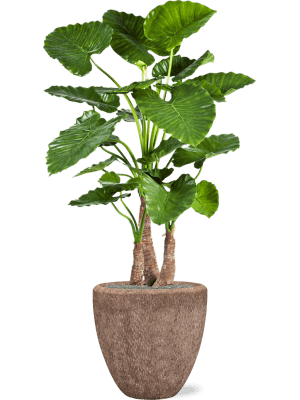 Ghiveci POLYSTONE ROUGH Rock (cu liner) 50 x 50 [1]