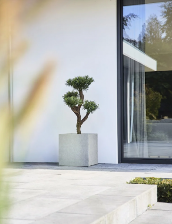 Ghiveci STRUTTURA Cube 30 [2]