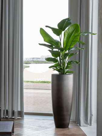 Ghiveci GRADIENT Matt Coffee (cu liner) 40 x 95 [1]