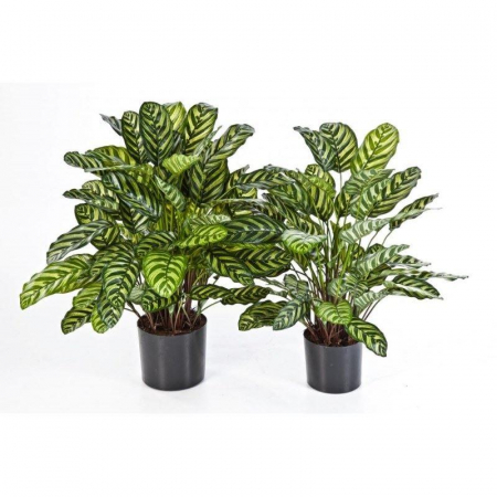 Plante Artificiale - Green calathea cu ghiveci