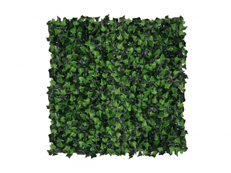 Hedera Helix (Iedera) - rezistență la foc clasa C [3]