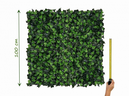 Hedera Helix (Iedera) - rezistență la foc clasa C [4]