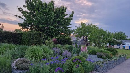 Intretinere gradini [1]