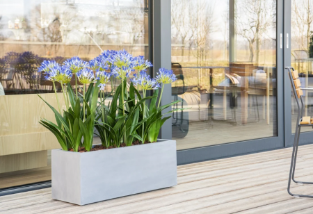 Jardinieră ARGENTO Box 80 [2]