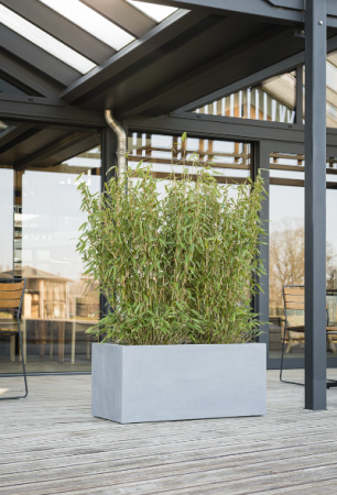 Jardinieră ARGENTO Box 80 [1]