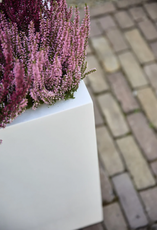 Jardinieră ARGENTO Small Box 60 [1]