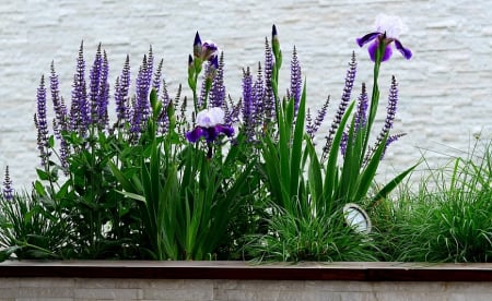 Servicii - Jardiniere gradina