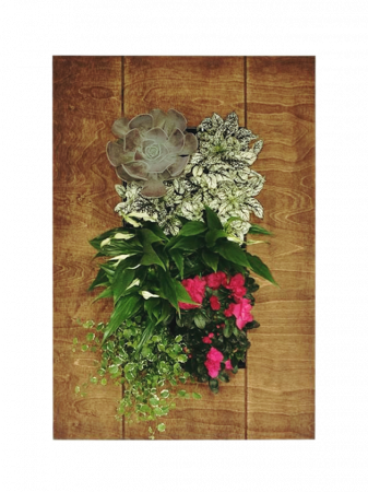 Kit pentru tablouri vii [7]