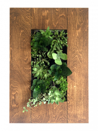 Kit pentru tablouri vii [9]