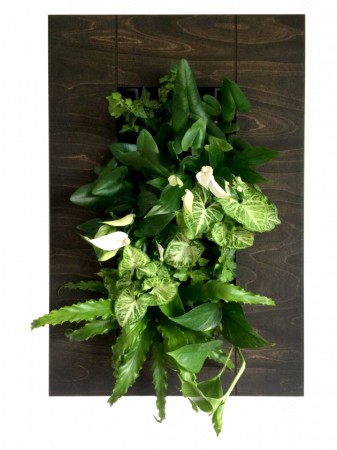 Kit pentru tablouri vii [8]