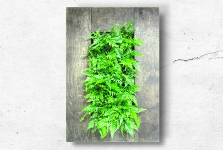 Kit pentru tablouri vii [14]