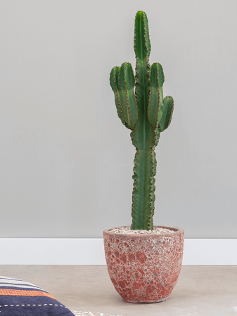 Ghiveci LAVA Couple Relic pink 36 x 34 [1]