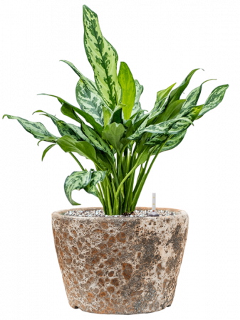 Ghiveci LAVA Couple Relic rust metal (smălțuit pe interior) 25 x 17 [1]