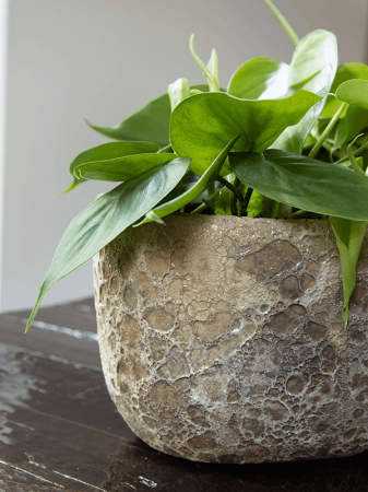 Ghiveci LAVA Oval Relic beige 38 x 24 / 19 [2]