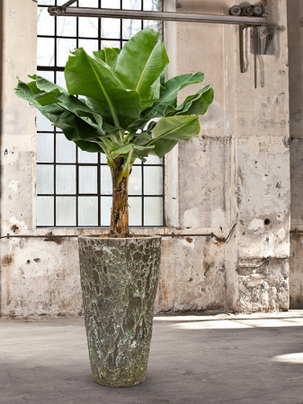 Ghiveci LAVA Partner Relic jade 35 x 65 [1]