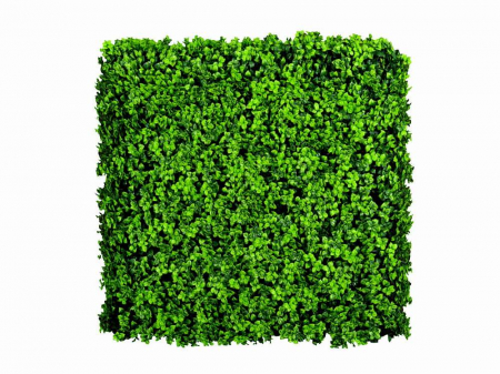 Panouri verzi artificiale - Leucodendron verde