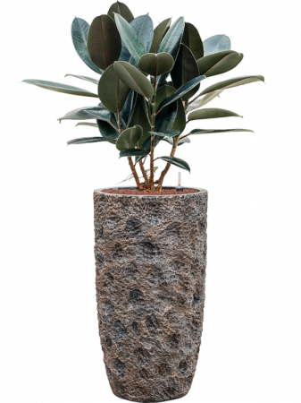 Ghiveci LUXE LITE UNIVERSE MOON bronz 38 x 69 [1]