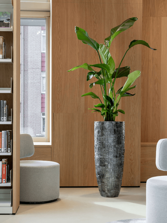 Ghiveci LUXE LITE UNIVERSE NOTE argintiu 38 x 110 [1]