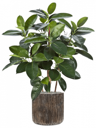 Ghiveci LUXE LITE UNIVERSE WATERFALL bronz 33 x 31 [1]