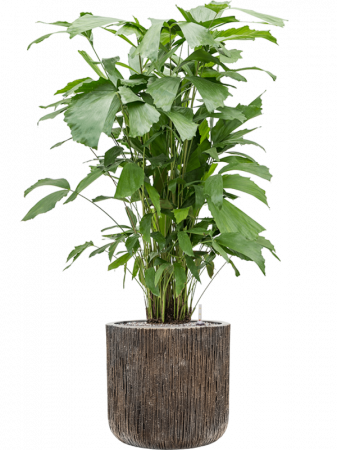 Ghiveci LUXE LITE UNIVERSE WATERFALL bronz 40 x 38 [1]