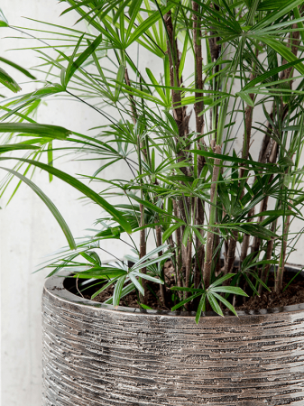 Ghiveci LUXE LITE UNIVERSE WRINKLE bronz 40 x 38 [2]