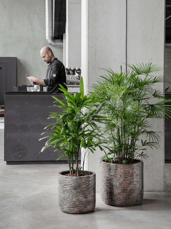 Ghiveci LUXE LITE UNIVERSE WRINKLE bronz 40 x 38 [1]