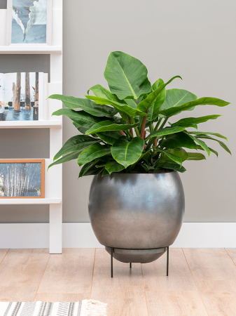 Ghiveci METALLIC SILVER LEAF matt silver blue (cu liner + bază) 34 x 31 [1]