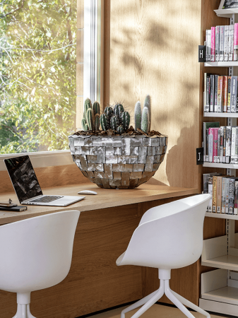 Mixt de cactuși 4 buc/set 40 cm [1]