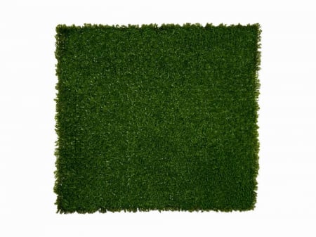 Panouri verzi artificiale - Mușchi coada șoricelului