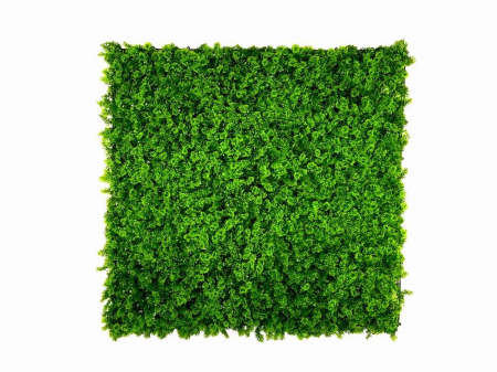 Panouri verzi artificiale - Mușchi de pădure I