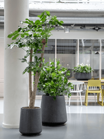 Ghiveci RAINDROP antracit 30 x 26 [2]