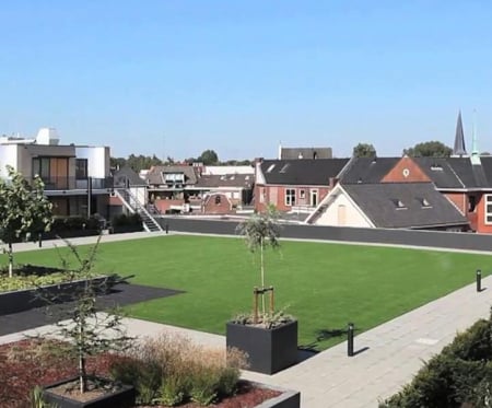 Royal Grass® Elite [4]