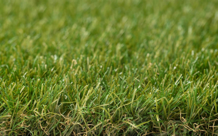 Royal Grass® Sense [2]