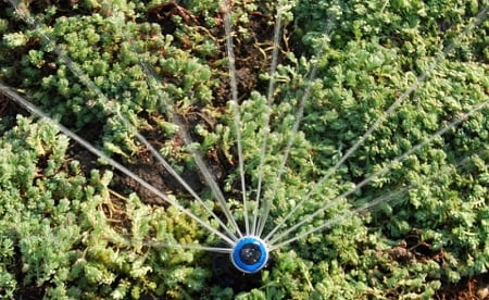 Servicii - Sisteme de irigatii