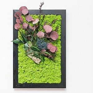 Tablouri cu licheni si plante stabilizate - Tablou CALVINIA