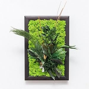 Tablouri cu licheni si plante stabilizate - Tablou CARPARI