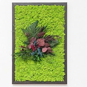 Tablouri cu licheni si plante stabilizate - Tablou CHINDE