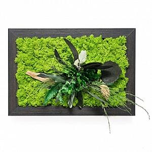 Tablouri cu licheni si plante stabilizate - Tablou COREGGIA