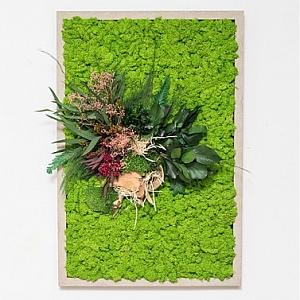 Tablouri cu licheni si plante stabilizate - Tablou DOUZ